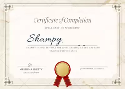Tarot Shampy